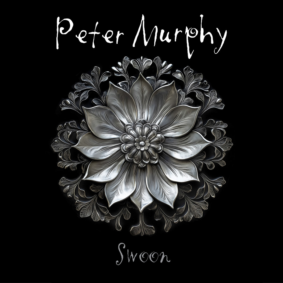 エリザベス・シューマン silver thread of song Amazon.com: Silver